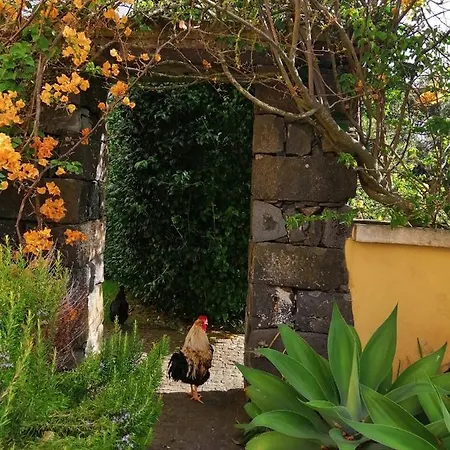 Casa Da Japoneira Affittacamere *
