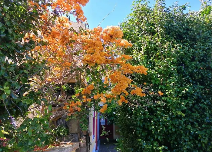 Maison d'hôtes Casa Da Japoneira 3*