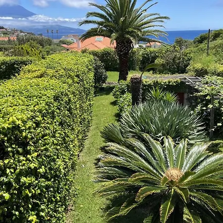 بيت ضيافة Casa Da Japoneira 3*