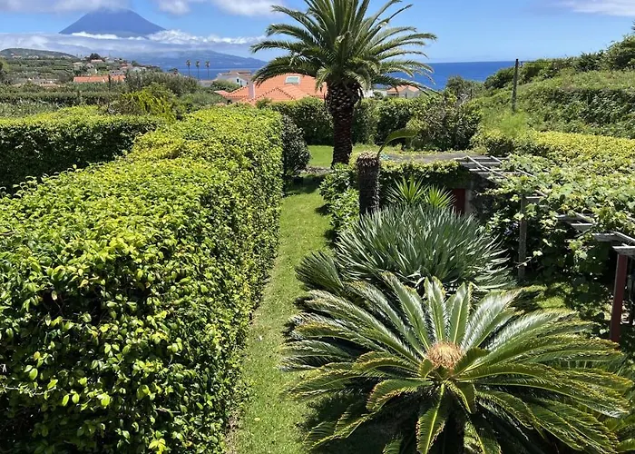 Guest house Casa Da Japoneira 3*