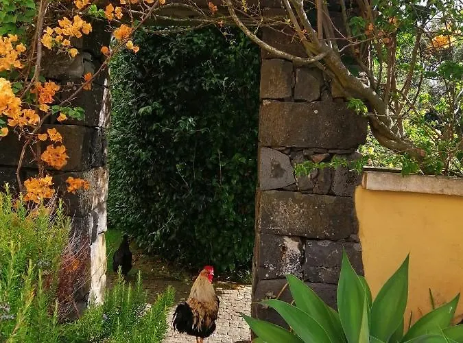 Casa Da Japoneira Guest house 3*